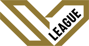S.V.LEAGUE
